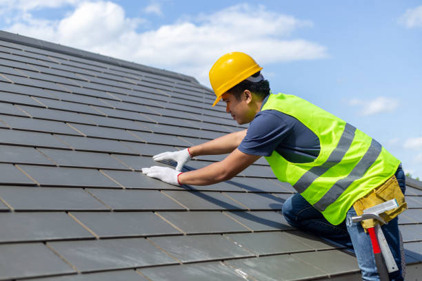 Best Roof Gutter Cleaning  in Gruetli Laager, TN