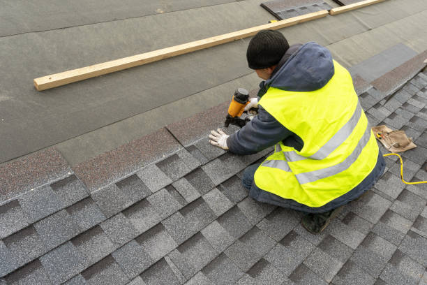 Best Gutter Installation and Roofing  in Gruetli Laager, TN